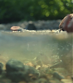 Filename=0008.jpg
Filesize=65KiB
Dimensions=1920x960
Date added=Aug 03, 2022 0008.jpg